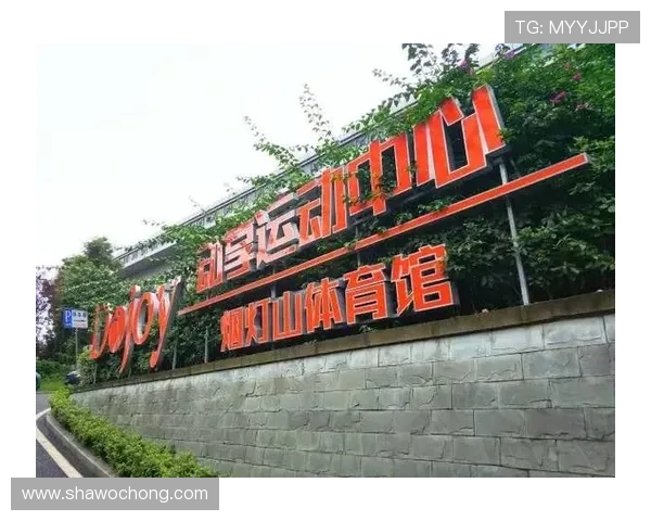 开云体育正规下载链接免费下载指南，轻松开启体育娱乐新体验