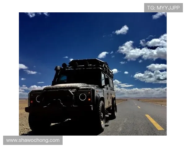 开云网址登录线路详细解析帮助用户快速登录指南