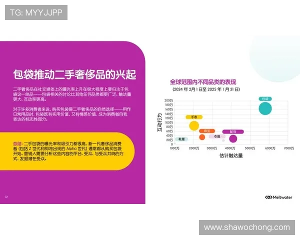 开云集团旗下品牌的多元化发展及其在全球奢侈品市场中的竞争优势