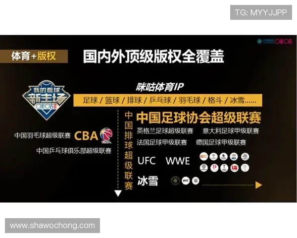 开云体育入口官网支持多平台多设备登录，确保你随时随地畅享体育赛事精彩内容