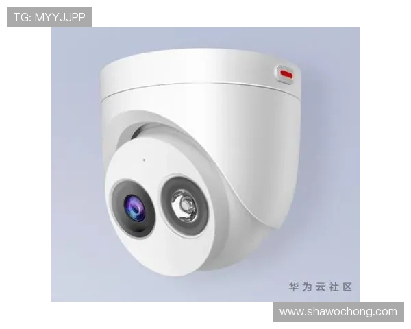 开云网页版账户安全保护措施，确保你的个人信息安全无忧