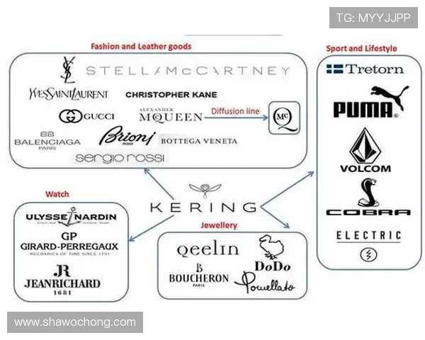 开云集团在奢侈品行业中的品牌管理策略研究