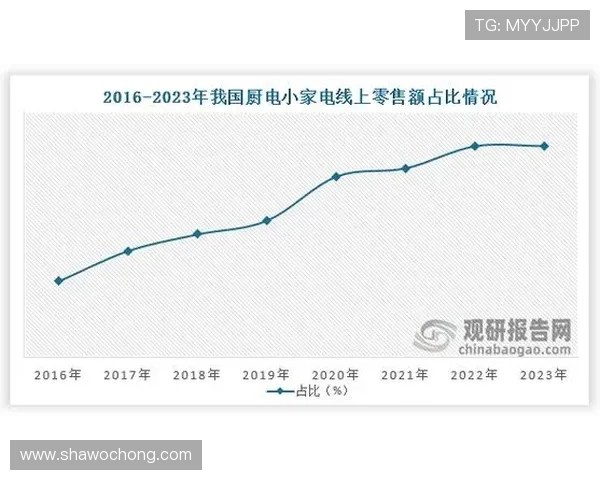 开云KY国际站数据分析与报告：帮助开发者精准把握用户行为与市场趋势